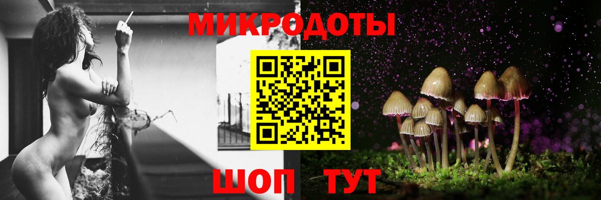где купить наркоту  Галлюциногенные грибы Psilocybe  Вход с VPN  Людиново 